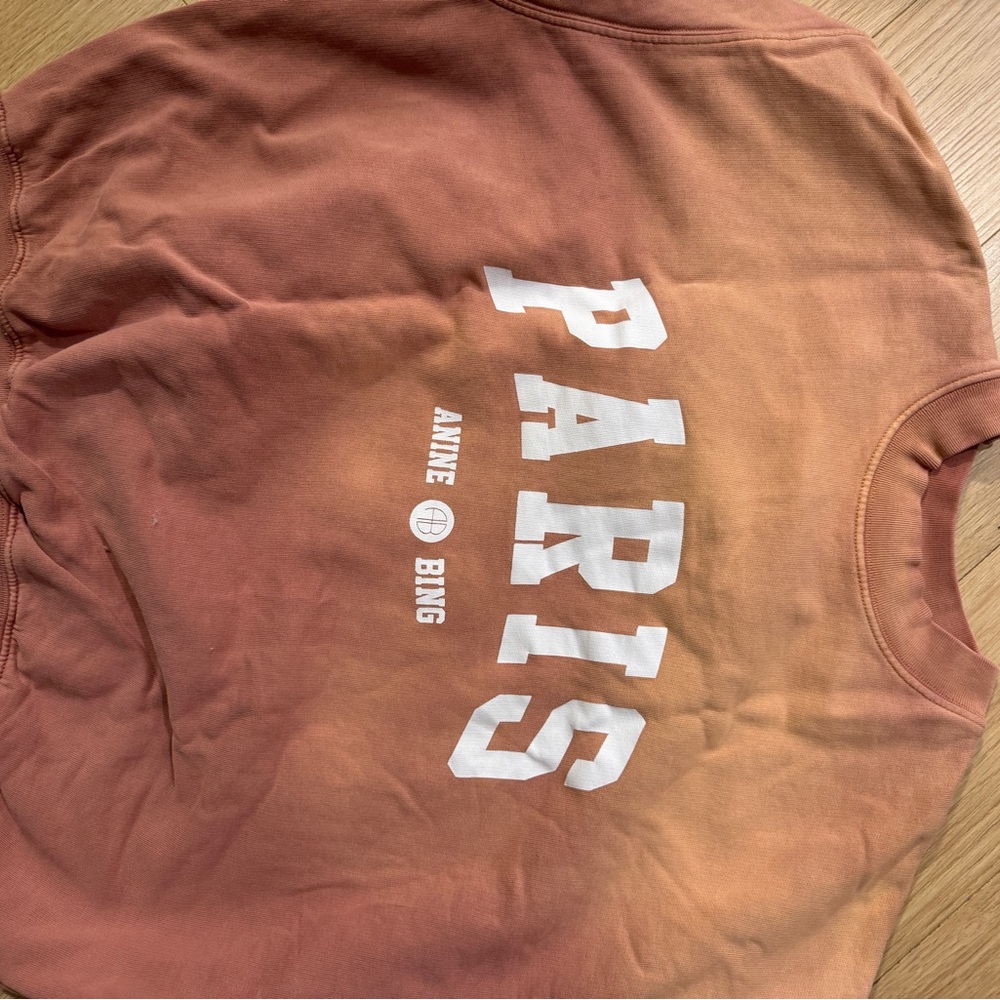 Anine Bing Rust Sweatshirt with White Paris Text